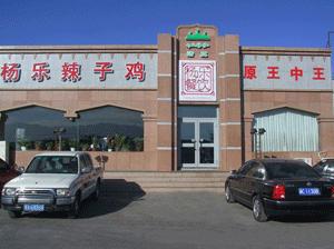 柴窝堡,图一